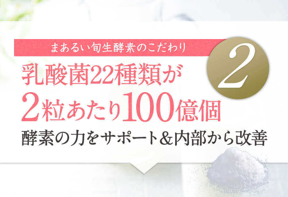 22種類の乳酸菌が100億個