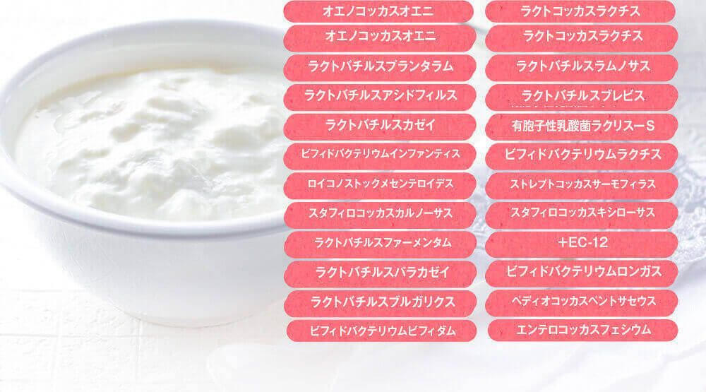 乳酸菌とさらにオリゴ糖と食物繊維も配合