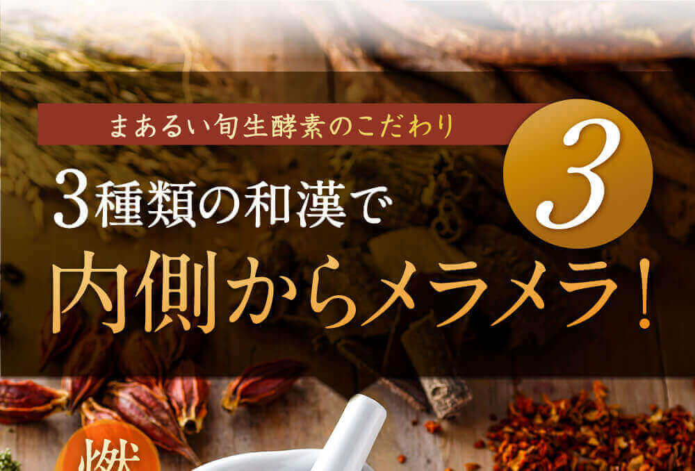 22種類の乳酸菌が100億個
